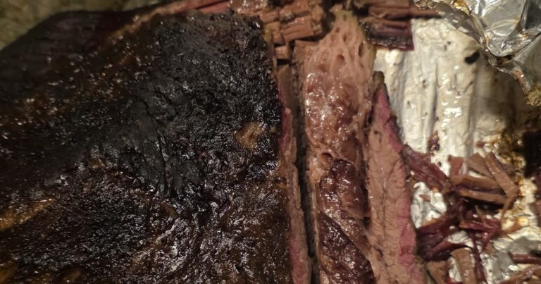 Il mio primo brisket tra pellet e forno Anova
